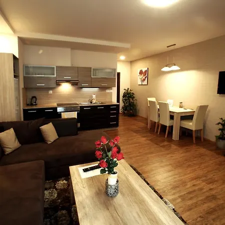 Apartman Livingstone - Roudna 公寓 比尔森